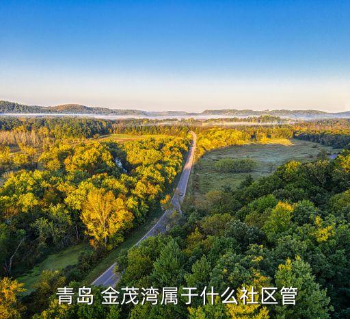  青岛 金茂湾属于什么社区管