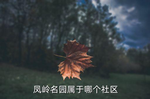  凤岭名园属于哪个社区