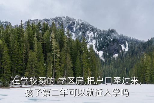 在学校买的 学区房,把户口牵过来,孩子第二年可以就近入学吗