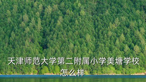  天津师范大学第二附属小学美塘学校怎么样