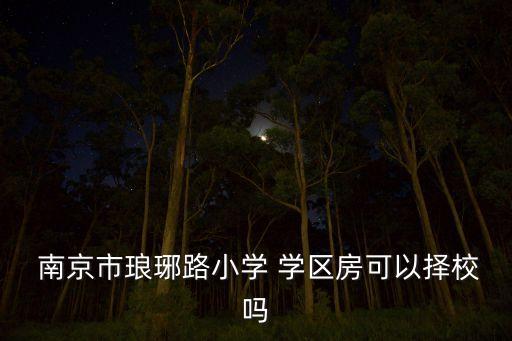  南京市琅琊路小学 学区房可以择校吗