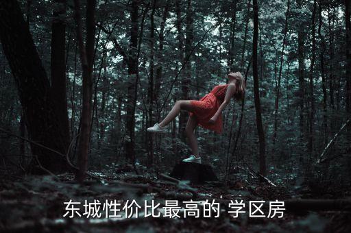 东城性价比最高的 学区房