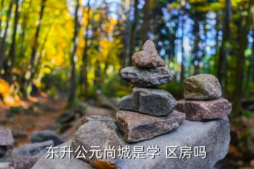 东升公元尚城是学 区房吗