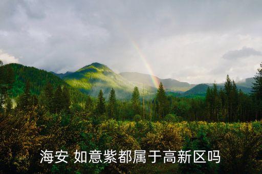 海安 如意紫都属于高新区吗