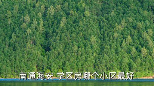 南通市中心学区房,江苏海安南通市学区房一般提前三年购买