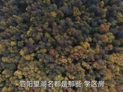  泗阳望湖名都是那些 学区房