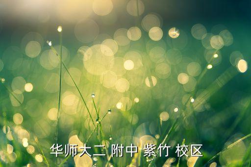  华师大二 附中 紫竹 校区