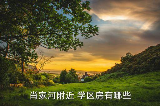 成都学区房 新房,选择适合自己的学区房子有哪些优势?