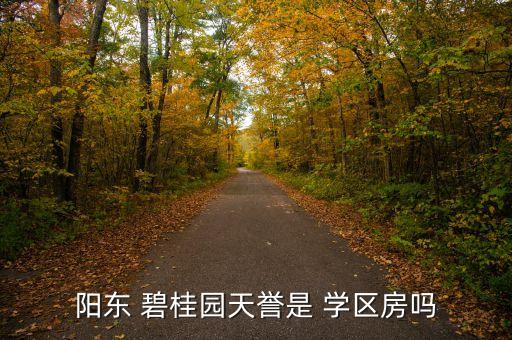 阳东 碧桂园天誉是 学区房吗