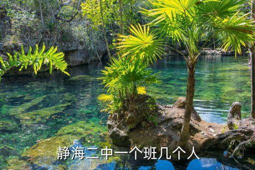 静海二中学区房平方,静江二号中学占地面积318万-2平方米