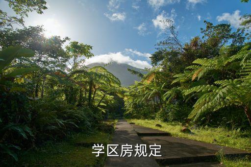  学区房规定