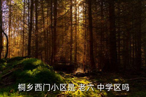  桐乡西门小区是 老六 中学区吗