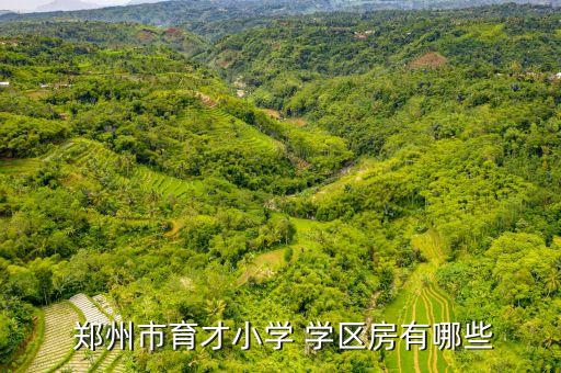  郑州市育才小学 学区房有哪些