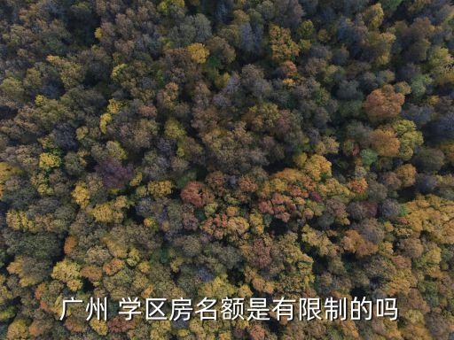  广州 学区房名额是有限制的吗