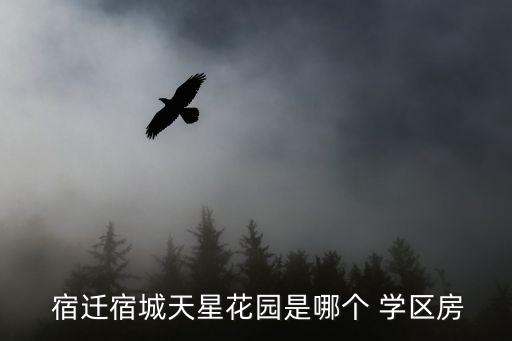  宿迁宿城天星花园是哪个 学区房