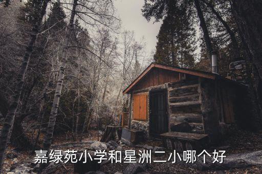 嘉绿苑小学和星洲二小哪个好