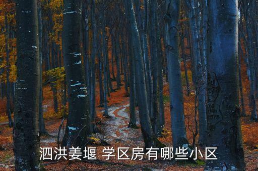 泗洪姜堰 学区房有哪些小区