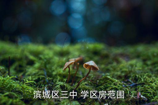 滨城区三中 学区房范围