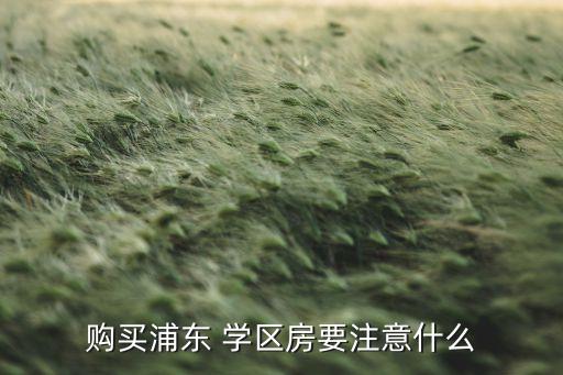 购买浦东 学区房要注意什么
