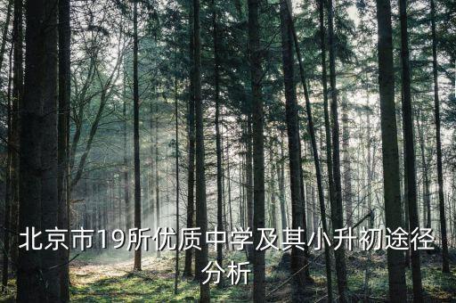 北京市19所优质中学及其小升初途径分析