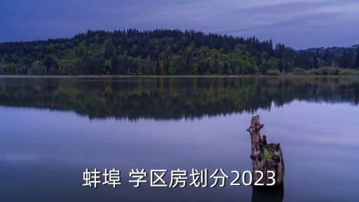 蚌埠 学区房划分2023