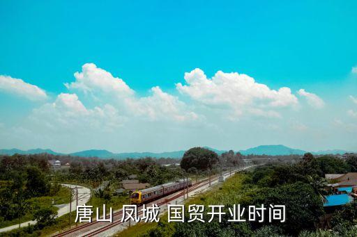 唐山凤城国贸学区房