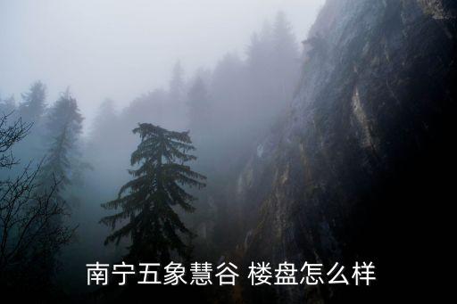  南宁五象慧谷 楼盘怎么样