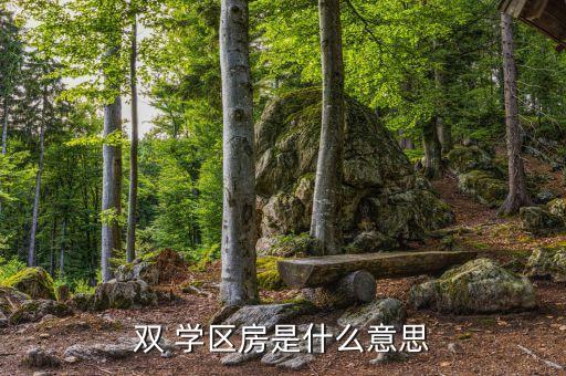 双 学区房是什么意思