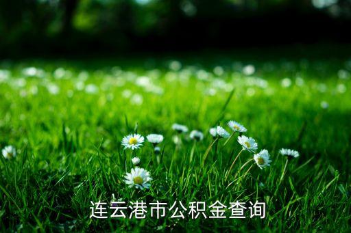  连云港市公积金查询