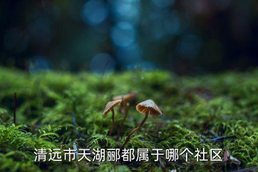 清远市天湖郦都属于哪个社区
