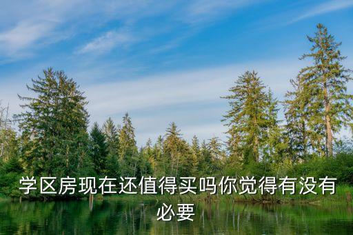  学区房现在还值得买吗你觉得有没有必要