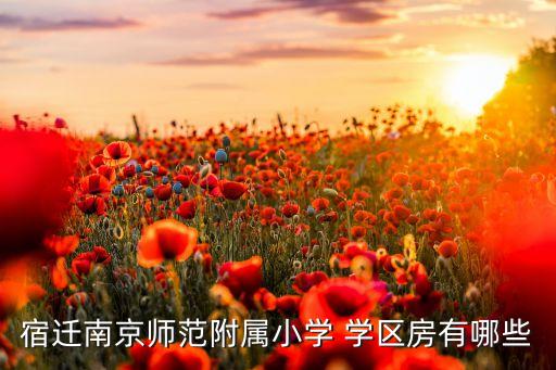 宿迁南京师范附属小学 学区房有哪些