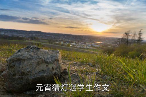 元宵猜灯谜学生作文