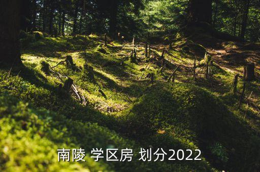 南陵 学区房 划分2022