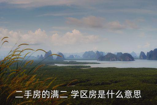 二手房的满二 学区房是什么意思