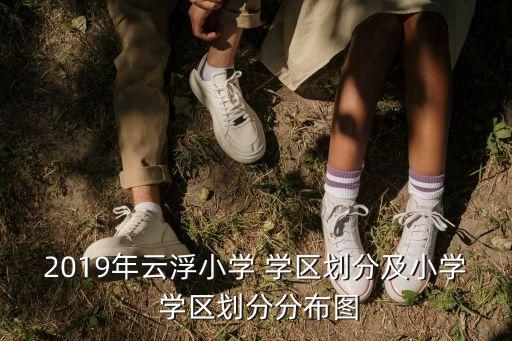 2019年云浮小学 学区划分及小学 学区划分分布图