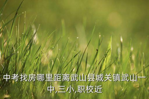 中考找房哪里距离武山县城关镇武山一中,三小,职校近