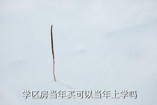  学区房当年买可以当年上学吗