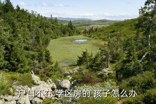 非学区房孩子上学,学区房出租影响自己的孩子上学吗
