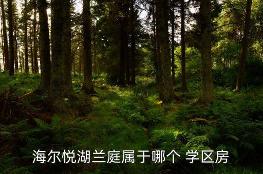 海尔悦湖兰庭属于哪个 学区房