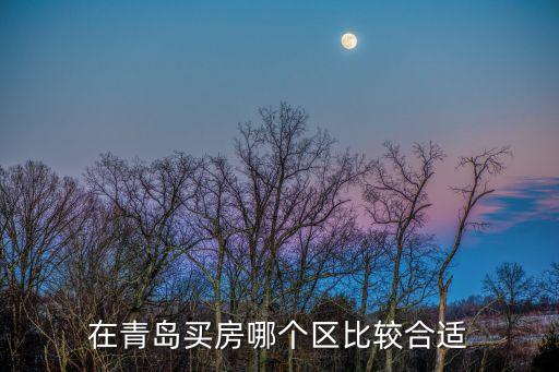 在青岛买房哪个区比较合适