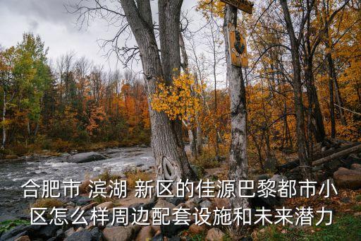 合肥市 滨湖 新区的佳源巴黎都市小区怎么样周边配套设施和未来潜力
