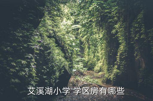艾溪湖小学 学区房有哪些