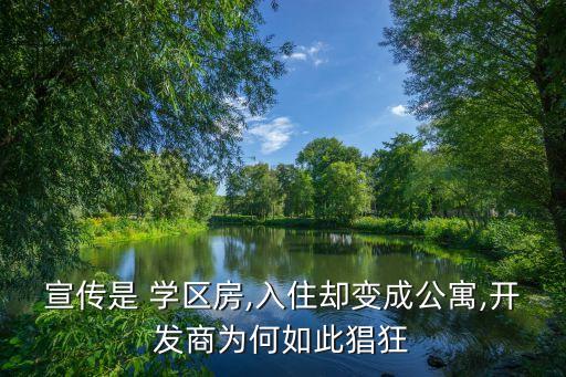 宣传是 学区房,入住却变成公寓,开发商为何如此猖狂