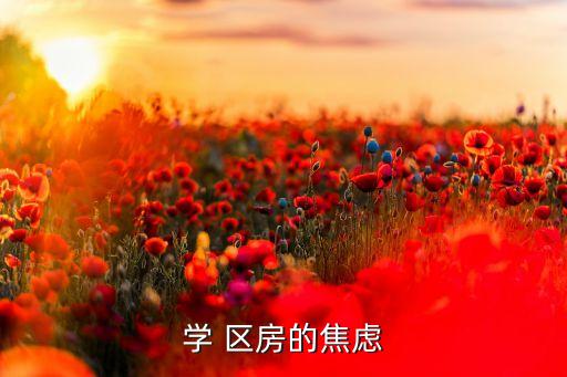 学 区房的焦虑