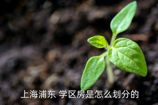  上海浦东 学区房是怎么划分的