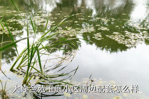  大连金苑玉庭小区周边配套怎么样