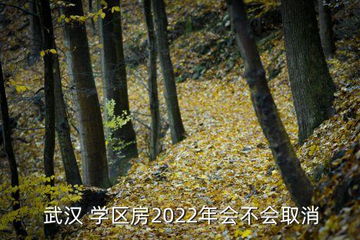  武汉 学区房2022年会不会取消