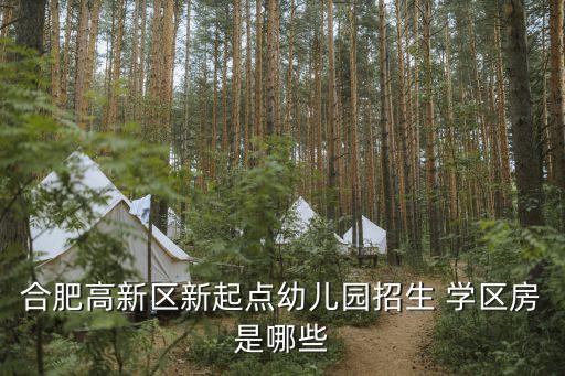 合肥高新区新起点幼儿园招生 学区房是哪些