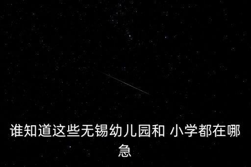 谁知道这些无锡幼儿园和 小学都在哪急